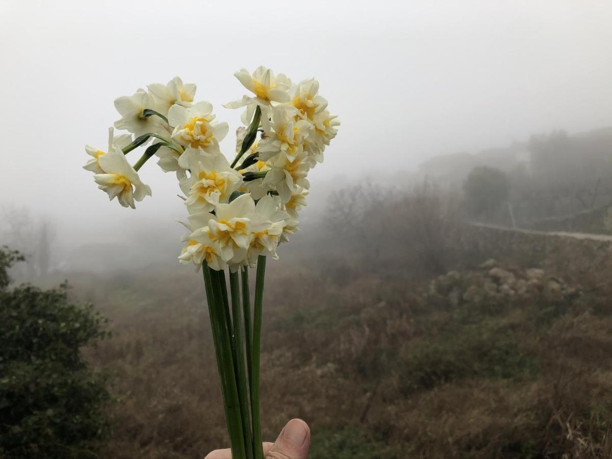 Lanzaroco, Tu Casa En La Vera Valverde de la Vera Kültér fotó